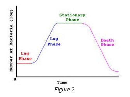 figure-2-bacteria-over-time